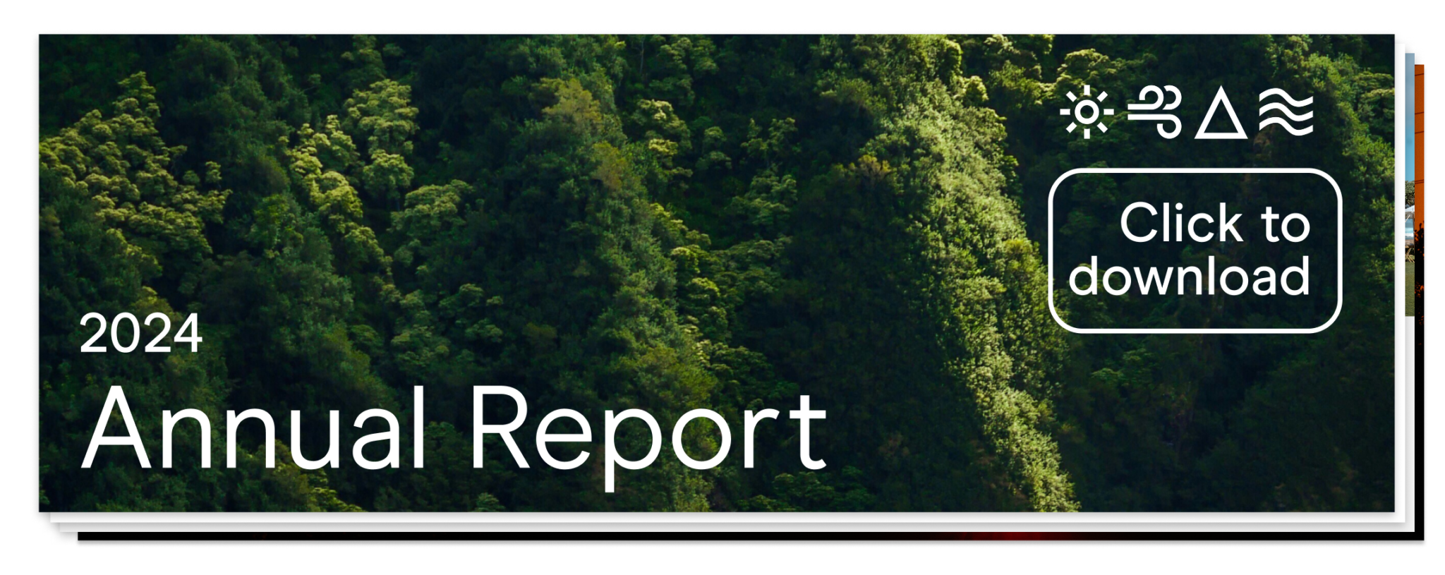 Download the 2024 Annual Report