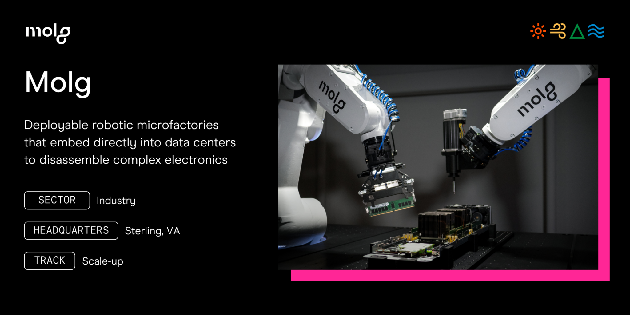 Why we're investing in Molg